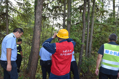 万州区防范山火于未“燃” 筑牢电力安全“空中走廊”